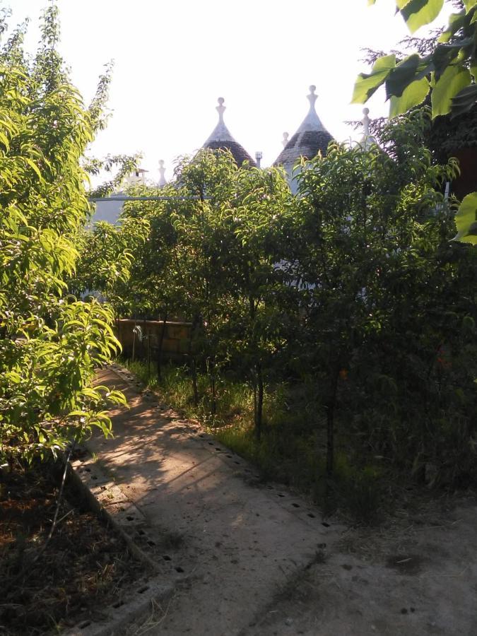 Гостевой дом Trullo Francisco Мартина-Франка Экстерьер фото